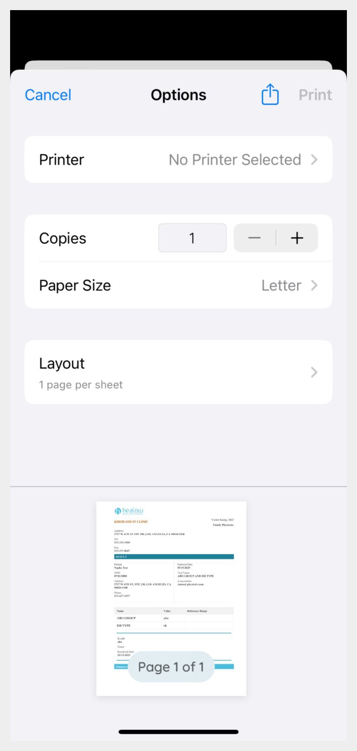 Print Options