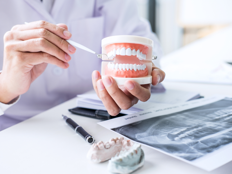 A dentist holds a teeth model during a patient education moment, explaining proper brushing and oral care.